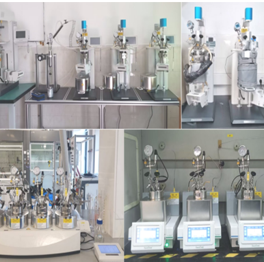 高通量平行高压反应釜